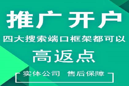 百度推广实战教程：多角度案例分析